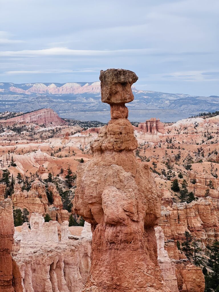 532b4ed7 95c0 44b0 b6b6 4bc84aa362c2 1 201 a