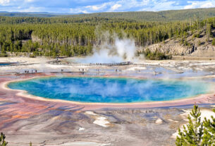 Cómo visitar Yellowstone: rutas, consejos e imprescindibles